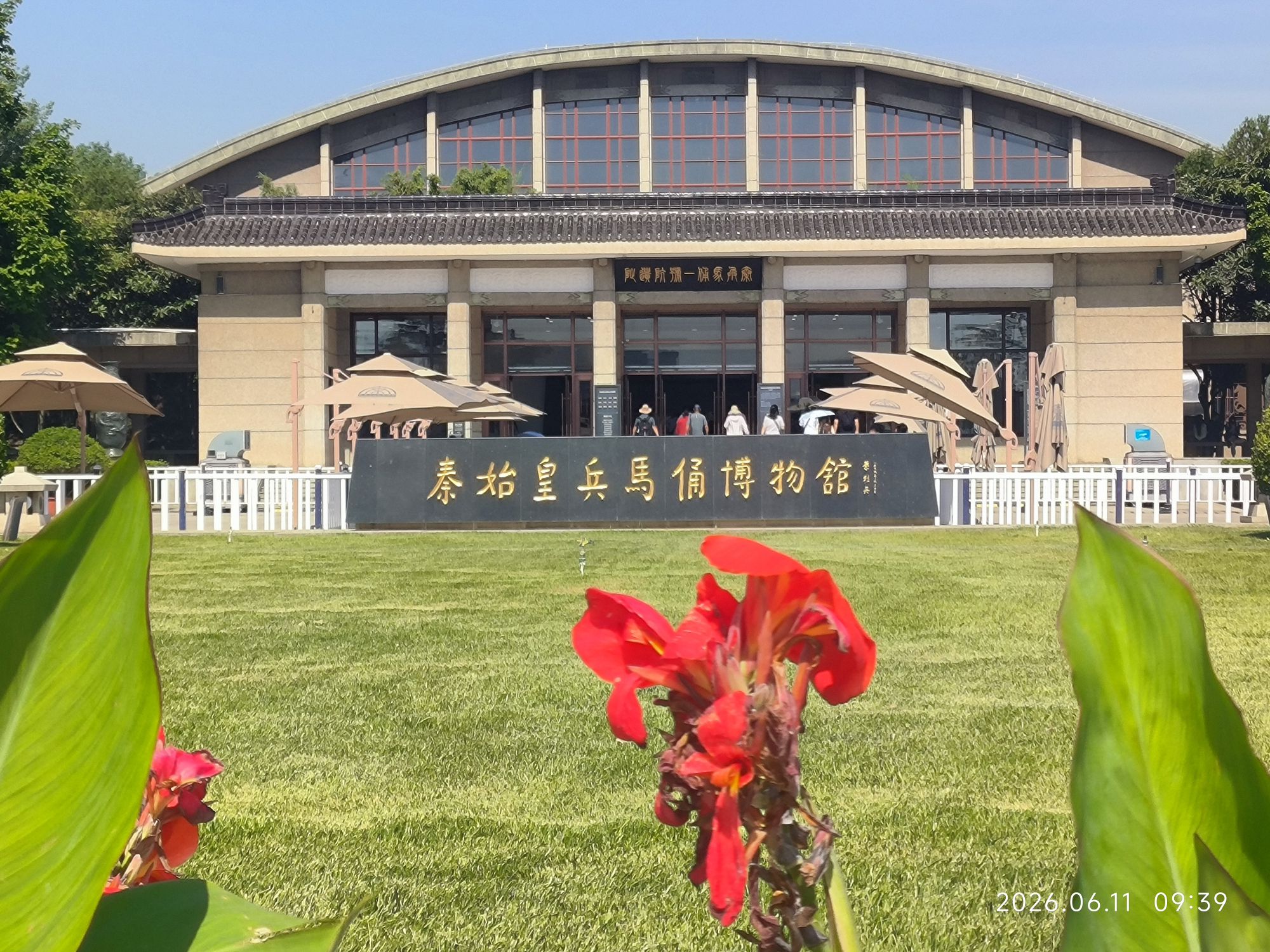 兵马俑现场照片 5