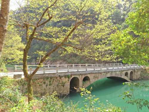 安徽霄坑风景区旅行图片 2