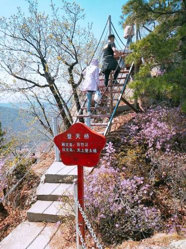 天佛山景区(暂停开放)旅行图片 3