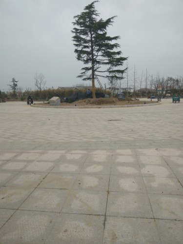 罗桥公园旅行图片 2