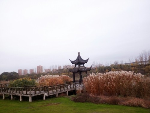 东方母爱公园旅行图片 2