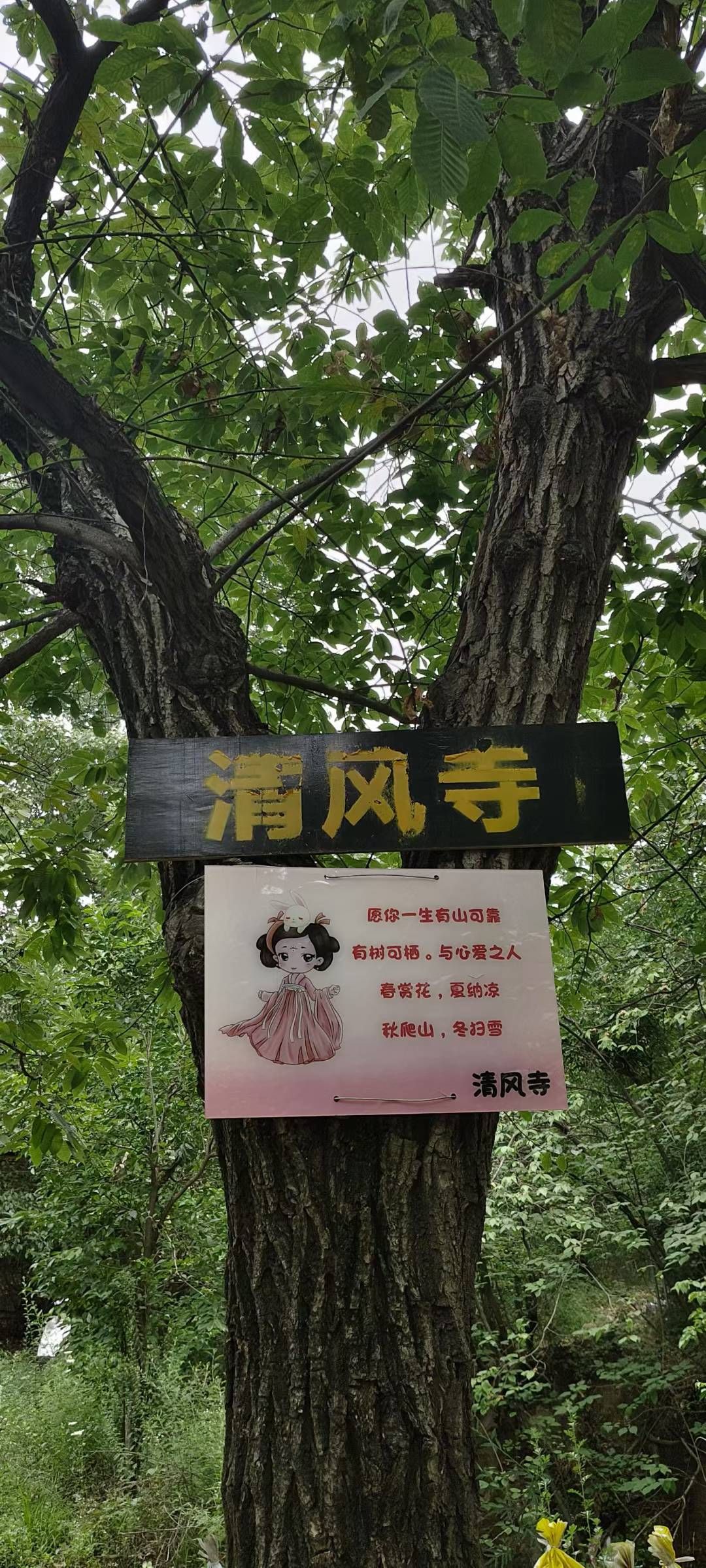 清风寺实景照片