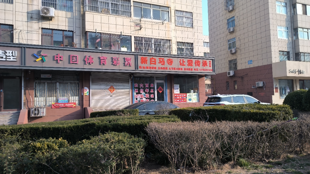 新白马寺让爱传承实景照片