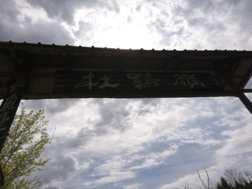 杜鹃岭旅行图片 3