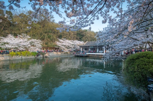 太湖 景点照片
