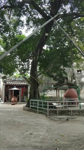维立公厅旅行图片
