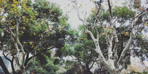 丹清河国家森林公园旅行图片 1