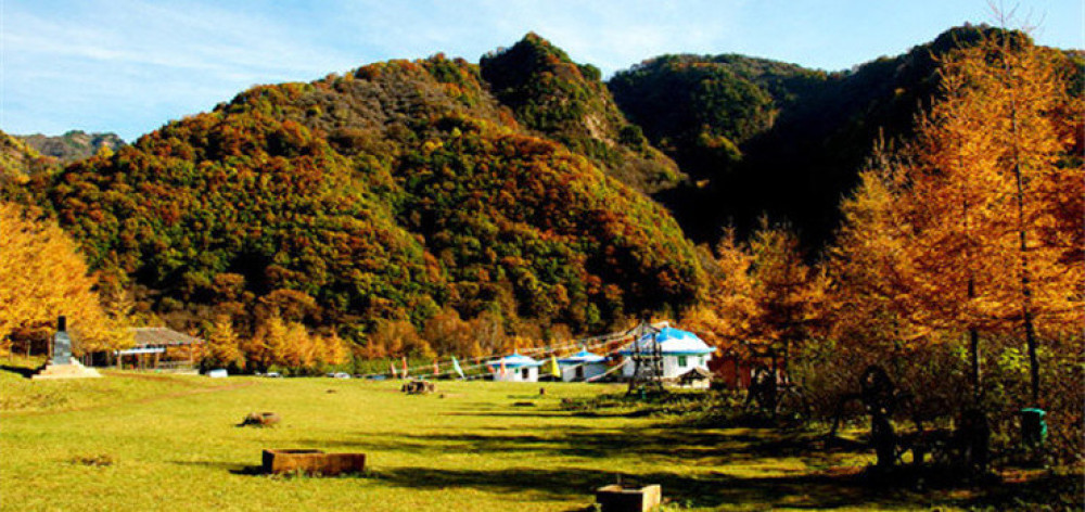 六盘山国家森林公园景点图片