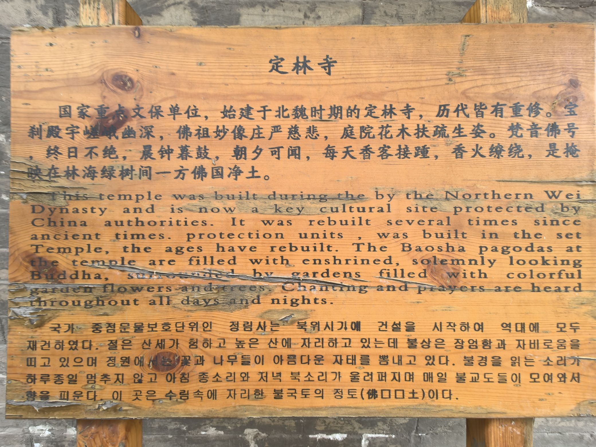 定林寺实景照片