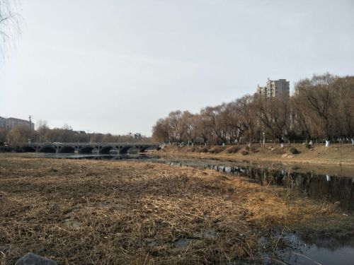 小沂河湿地公园旅行图片 2