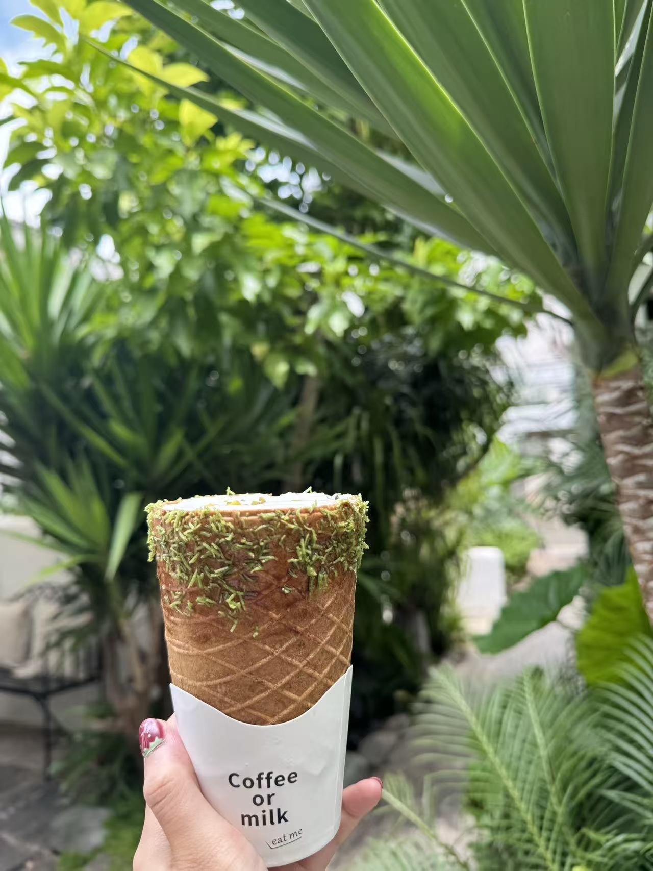 Double Win x山下·不止植愈庭院咖啡店 · Dali