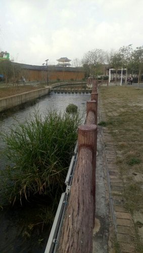 荷美人间旅行图片 3