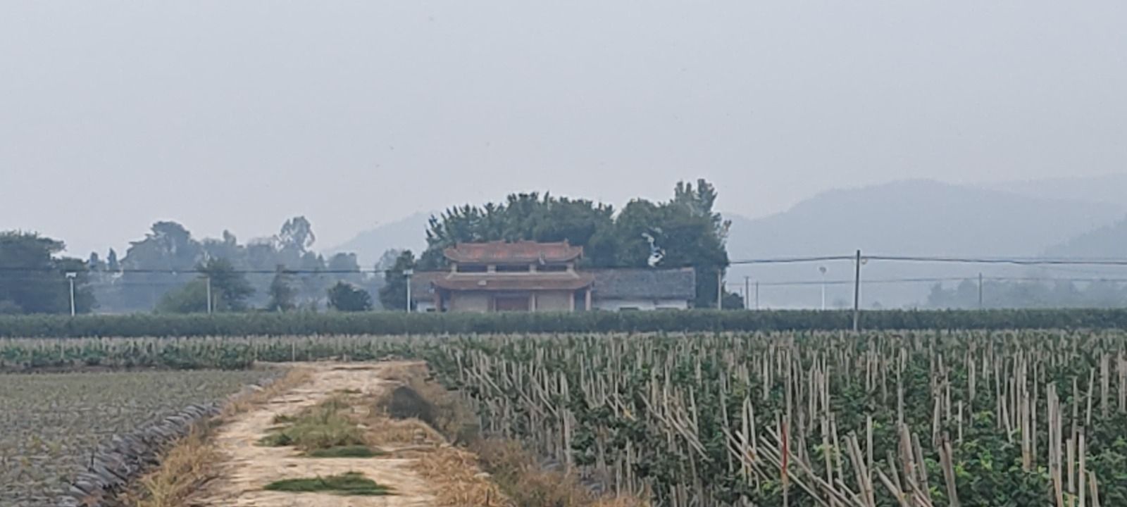 梓潼许州圣父庙实景照片