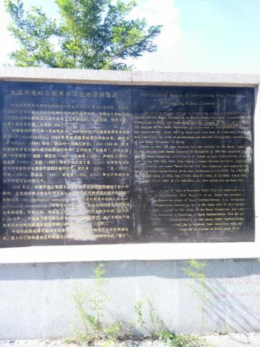 牛毛岭景区国家地质公园旅行图片 1