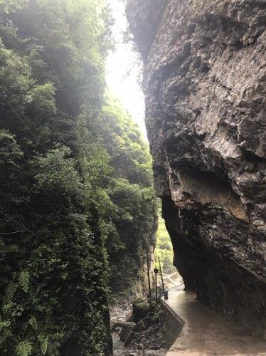 城口县九重山国家森林公园旅行图片 3