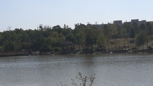 龙山法治文化主题公园旅行图片 2