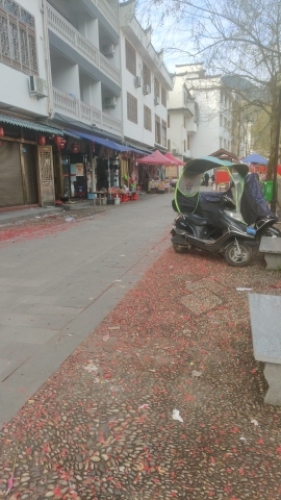西浦旅行图片 2