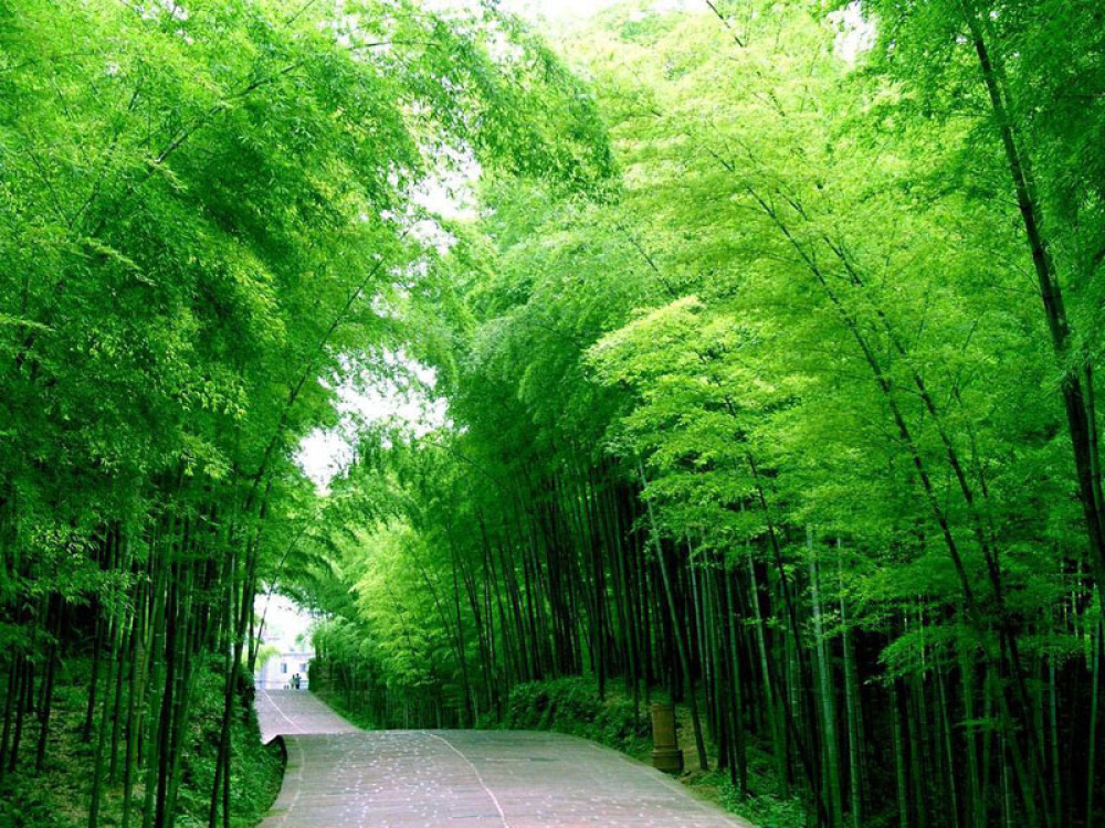 重渡沟风景区景点图片