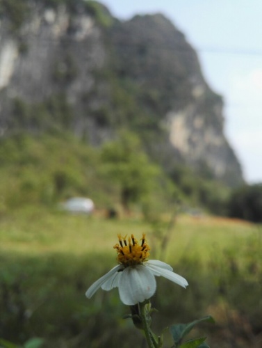 黄花公园旅行图片 1