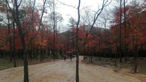 御碑亭旅行图片 1
