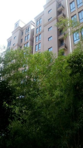 中轴景观公园旅行图片 1