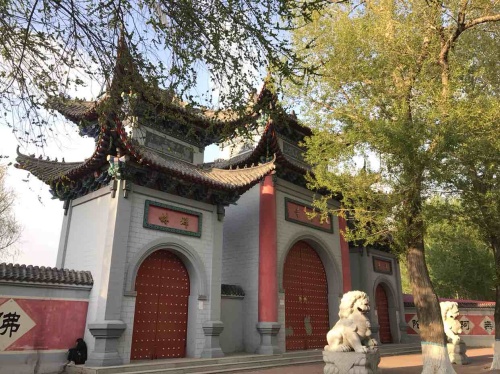 人民公园旅行图片 1