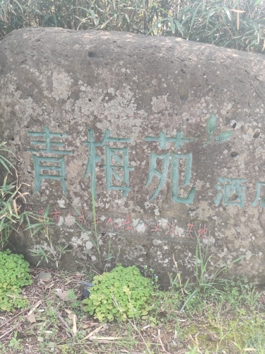 铁山寺国家森林公园-青梅苑
