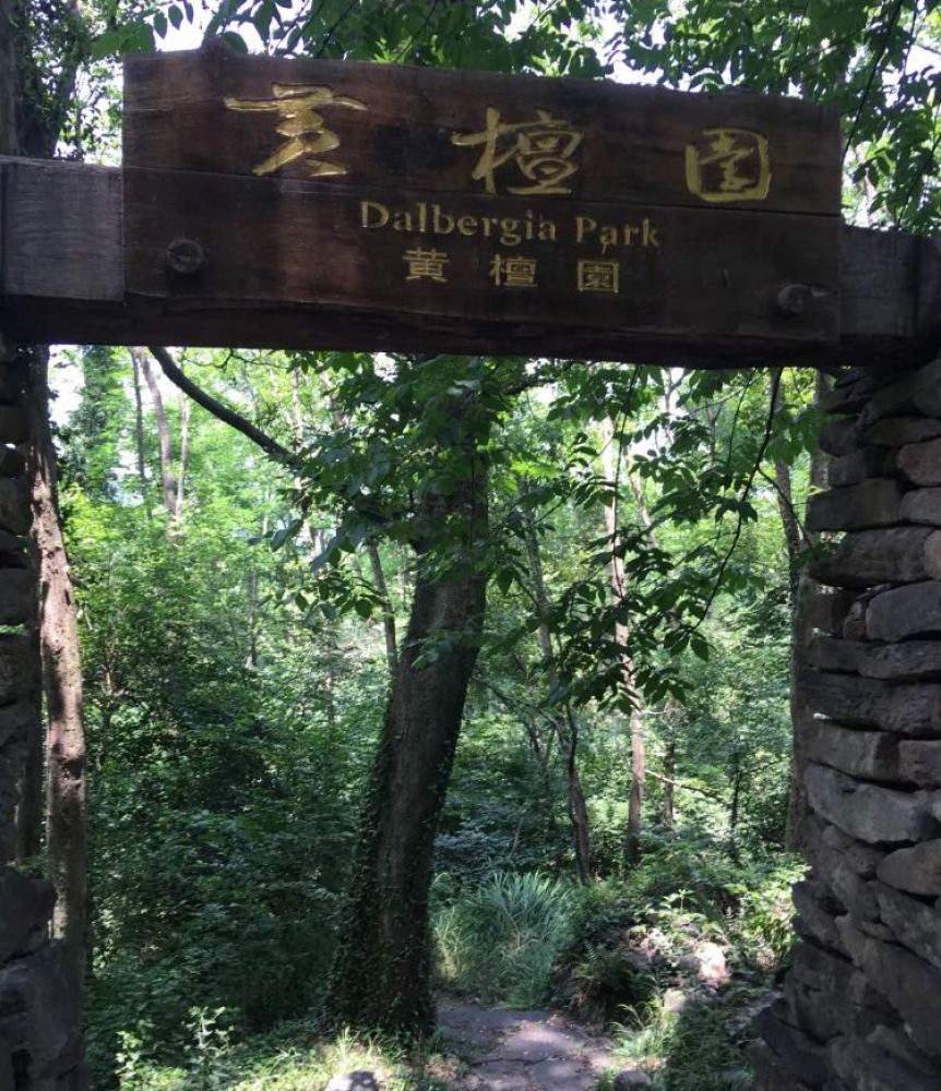 铁山寺国家森林公园景点图片