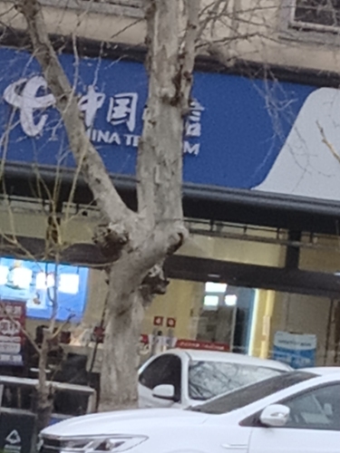 中国电信(良村营业厅)