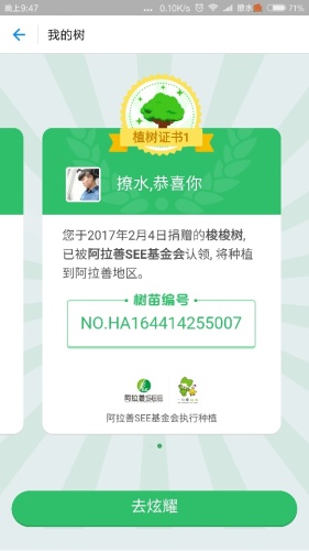 蚂蚁森林1号林·梭梭旅行图片 2