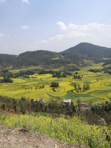 吉兰泰沙漠植物园旅行图片 1