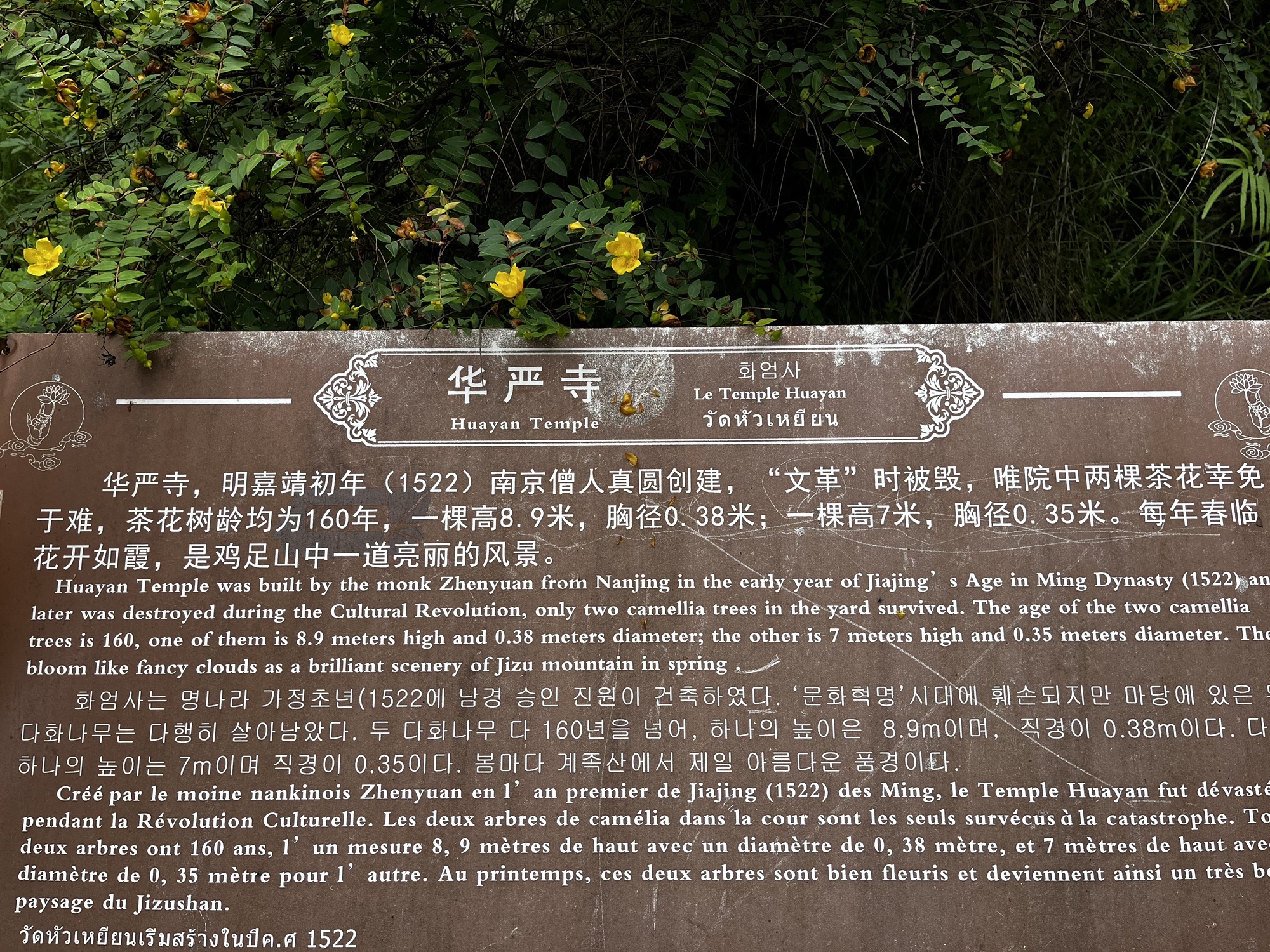 华严寺实景照片