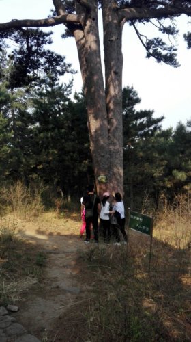 劲松园风景区旅行图片 1