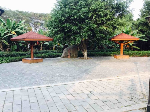 蓝溪湿地公园旅行图片 2