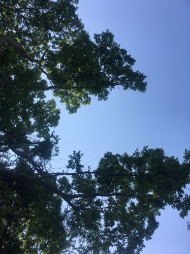隐龙山风景区旅行图片 2