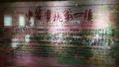 沂蒙山世界地质公园岱崮园区博物馆旅行图片 3