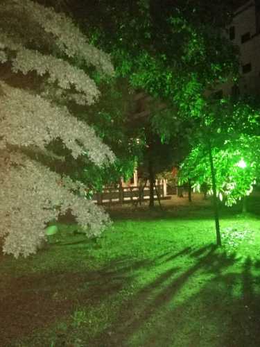 硕和法治文化主题公园旅行图片 3