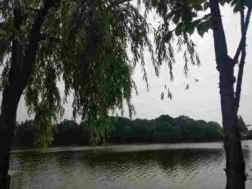 金西峙垅湖公园旅行图片 3
