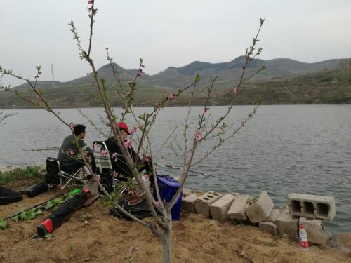 东指水库大坝旅行图片 1