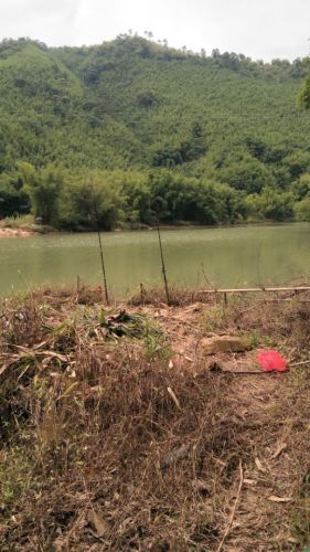 古水镇森林公园旅行图片 2