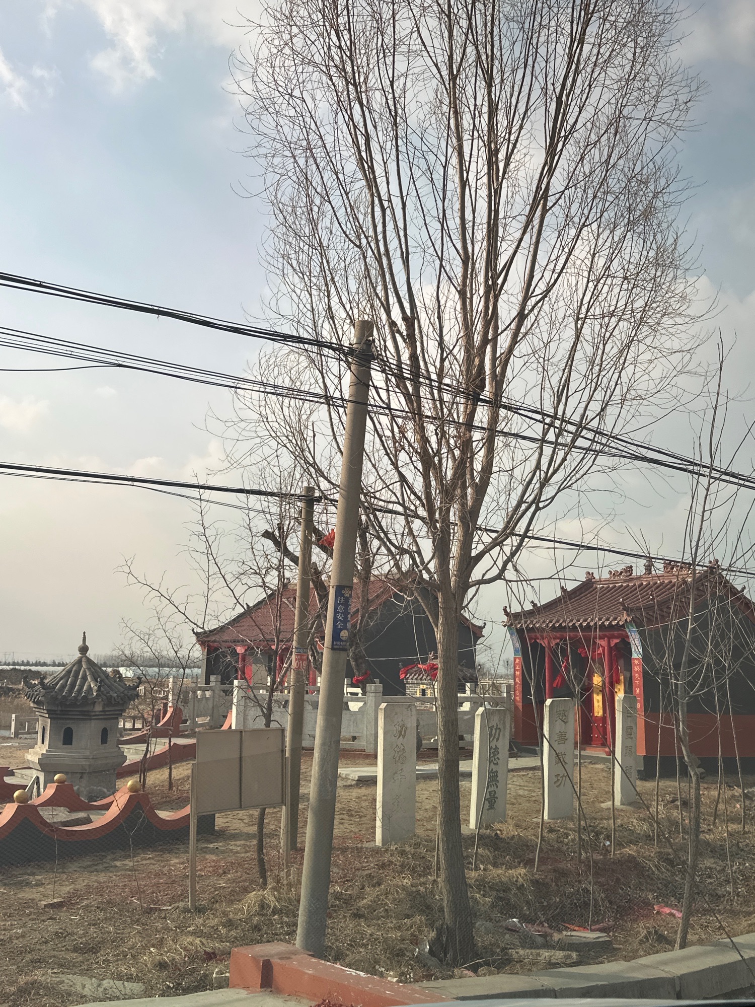 挂甲树百灵庙实景照片