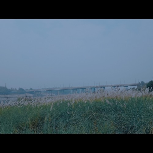 清溪湿地公园旅行图片 2
