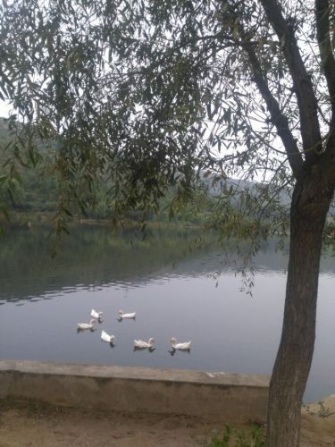 西口底水库旅游区旅行图片 3