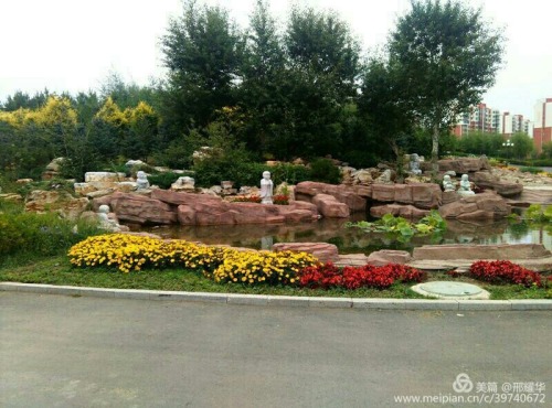 时代公园旅行图片 1