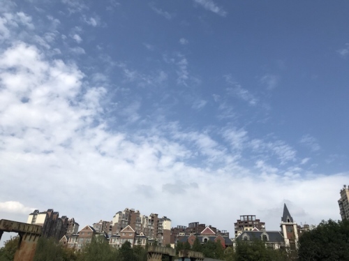 白鹭湿地公园旅行图片 2