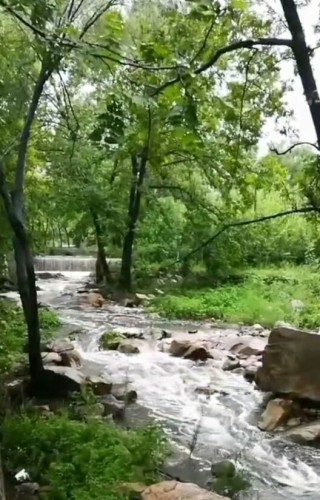凤凰岭生态旅游区旅行图片 3