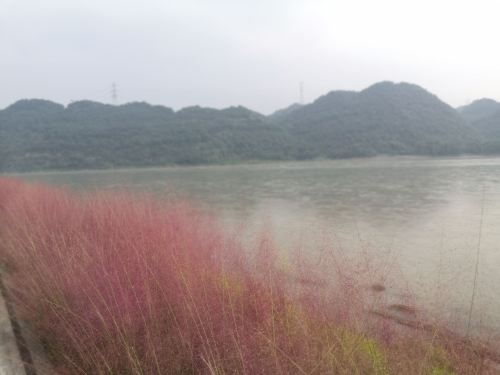 长江第一湾烈女祠旅行图片 2