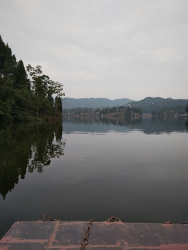 望龙湖森林公园旅行图片 1