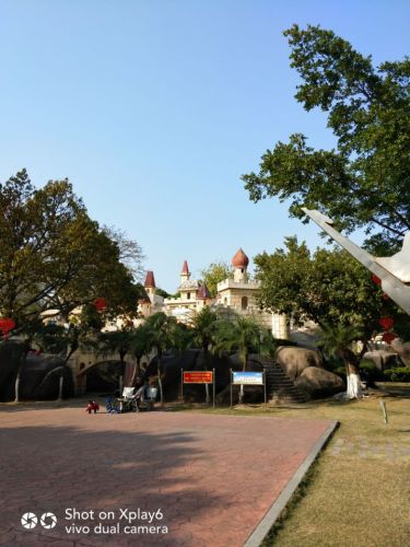 杏东公园旅行图片 3