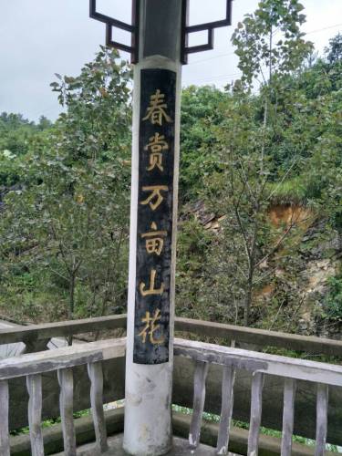 问仙亭旅行图片 3